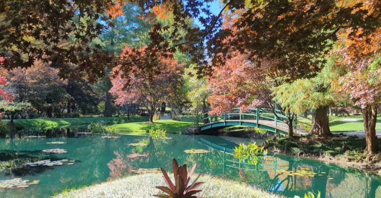 This Hidden Georgia Garden Turns Into A Stunning Fall Destination Every October
