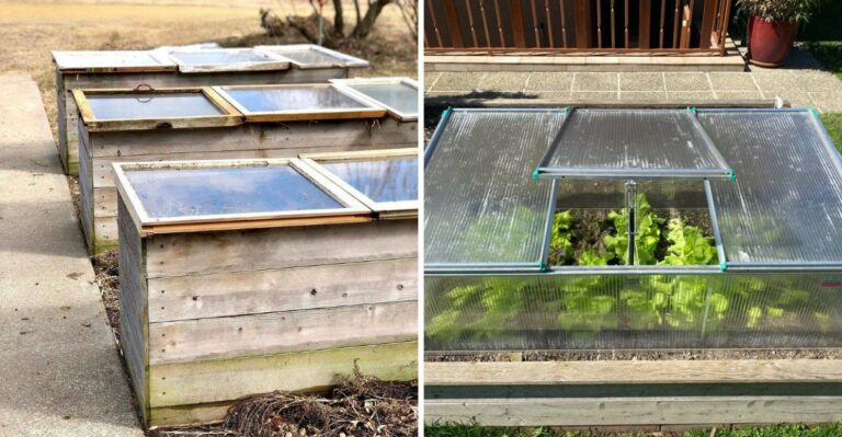 How To Build A Cold Frame Before Ohio’s Hard Freeze Arrives