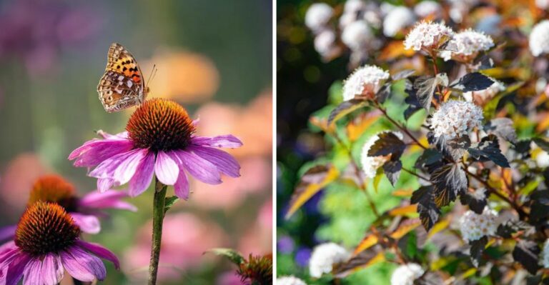 The Easiest Plants To Grow In Pennsylvania