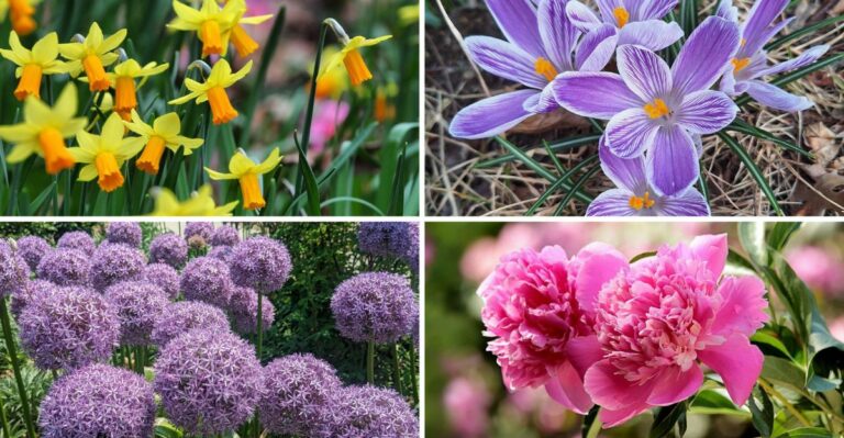 Indiana Plants To Get In The Ground Before Halloween