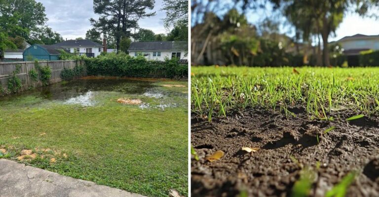 The Meaning Behind Standing Water In Your Florida Yard After October Storms