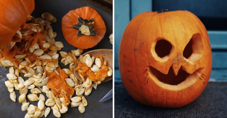 Save Your Pumpkin Seeds Now, And Grow Next Year’s Jack-O’-Lanterns In Your Virginia Garden