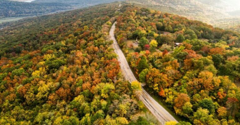 Trees Across The Missouri Ozarks Are Holding Their Green Longer This Fall Thanks To A Hot Dry Summer