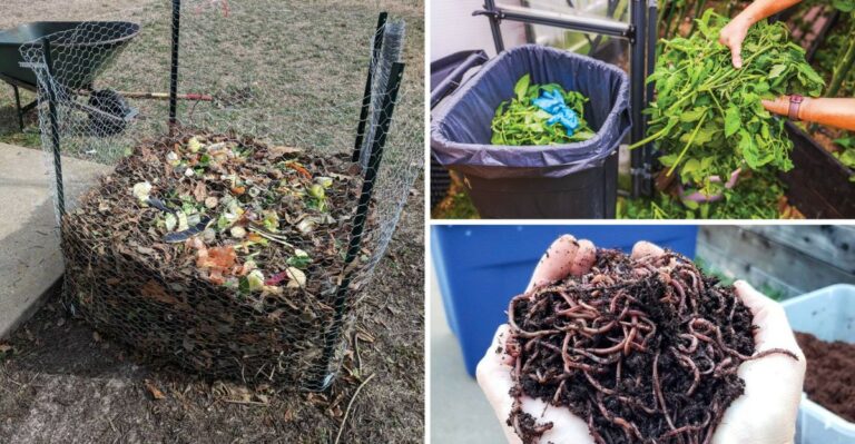 12 Helpful Composting Tips Every New York Gardener Should Know