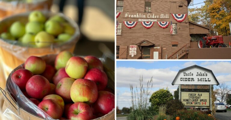 The Best Michigan Cider Mills And Apple Orchards To Visit This Fall