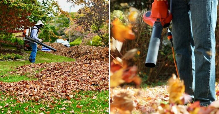 Gas Leaf Blowers Go Silent In Alexandria Next Month. Is Your Virginia Town Next?