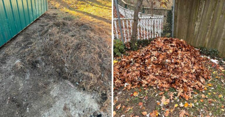 The California Fire Rule Many Homeowners Miss About Dry Leaf Piles