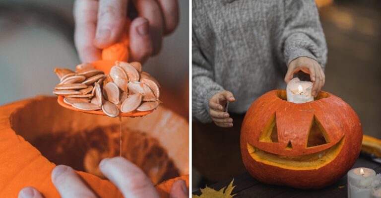 How To Keep Carved Pumpkins From Rotting In A Warm Pennsylvania Fall
