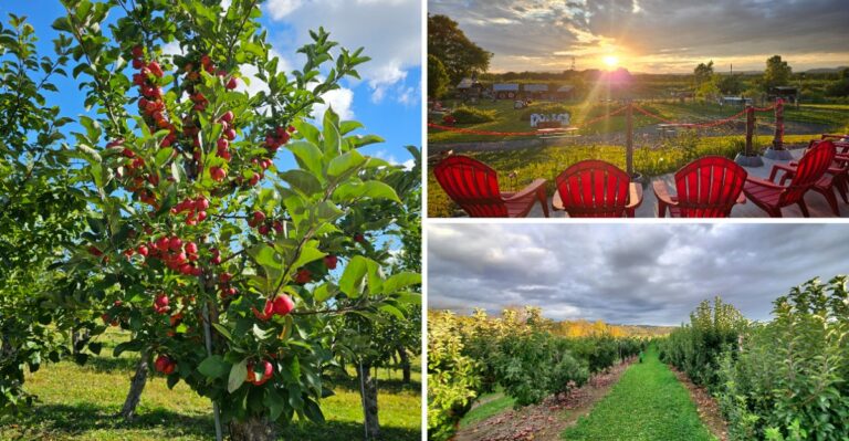 8 Hudson Valley Orchards Worth Visiting Before Peak Foliage Weekends