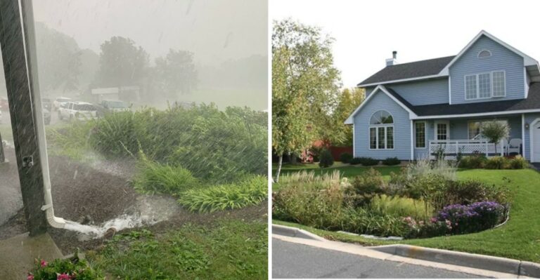 Make Your Virginia Yard “Bay-Friendly,” And Your Local District May Help Pay For It