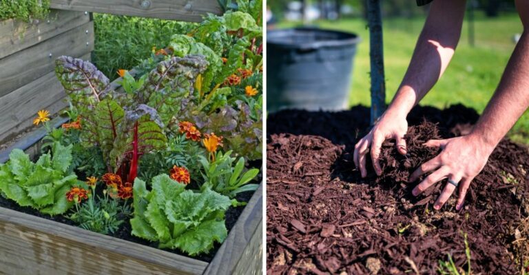 The Alabama Gardening Move That Pays Off Months Later