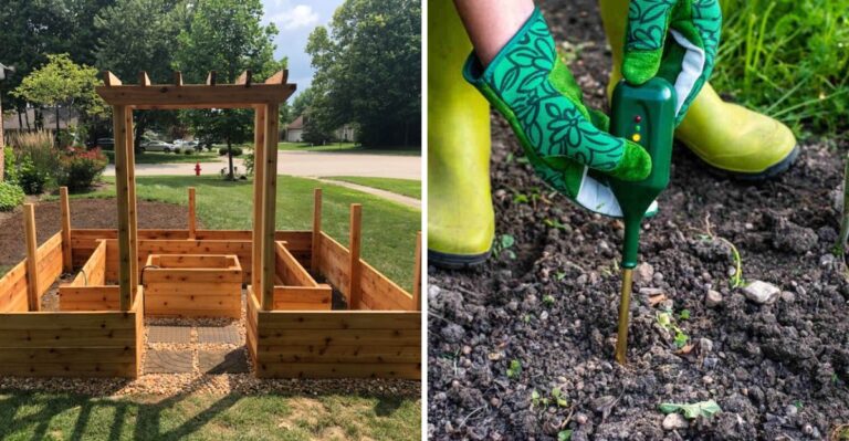 How To Plan Next Year’s Vegetable Garden Before A Virginia Winter