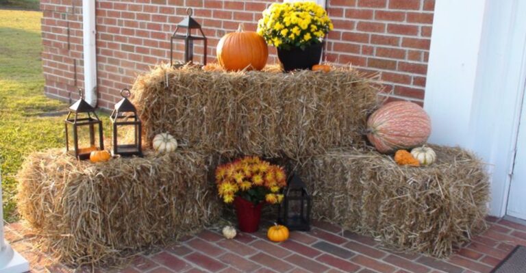Turn Your Indiana Fall Decor Straw Bales Into Winter Mulch For The Garden