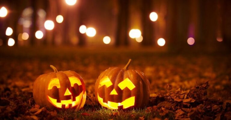 Florida Botanical Gardens Hosting Halloween Events Before October Ends