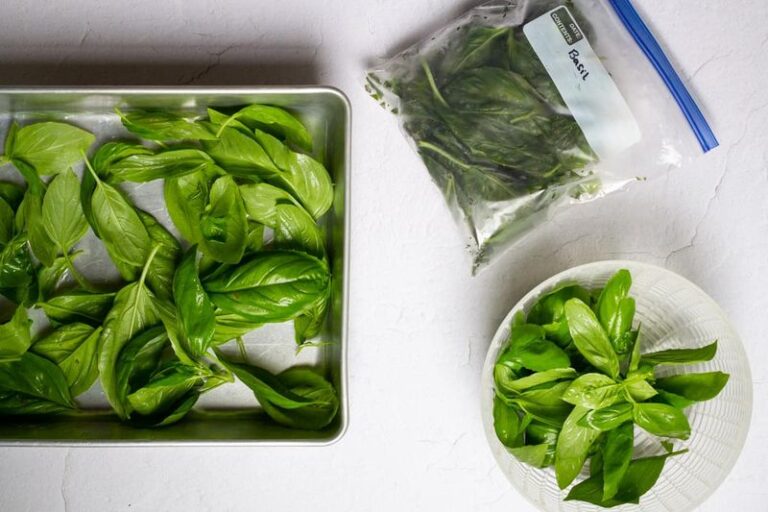 The Easy Basil Freezing Trick That Skips The Ice Cube Trays Completely