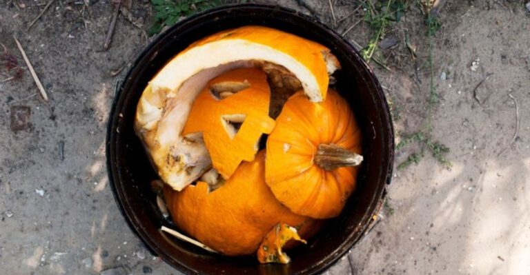 Your Jack-O’-Lantern Can Feed Your Missouri Garden After Halloween
