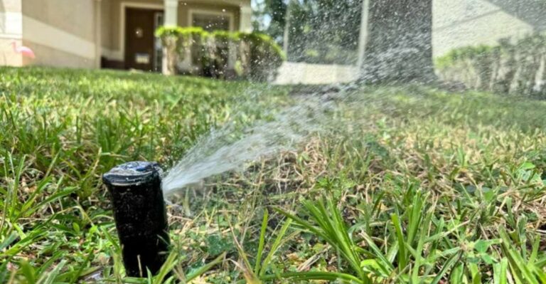 Can A Florida HOA Force You To Keep A Thirsty Lawn? The Answer Is More Complicated Than You Think