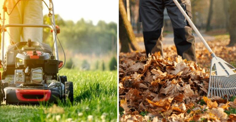 What Pennsylvania Lawns Actually Need Before The Ground Freezes