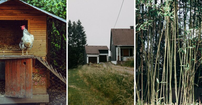 These Yard Features Might Not Be Allowed Much Longer In Virginia Neighborhoods