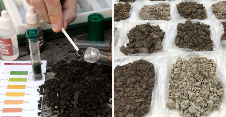 One Simple Test That Can Save Your Lawn And Garden In Alabama