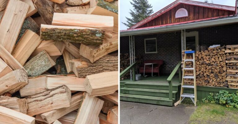 Bringing Firewood To Your New York Cabin? This Rule Could Cost You