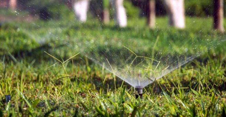 What Florida’s Return To Once-A-Week Watering Means For Your Grass