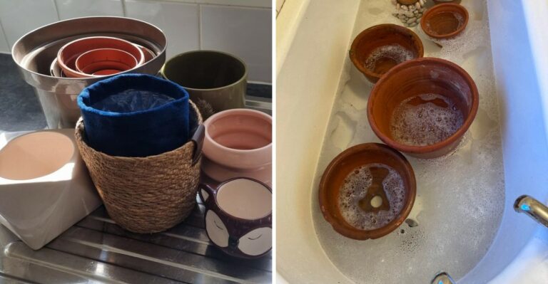 Virginia Gardeners Have One Important Pot Cleaning Job To Finish This Weekend