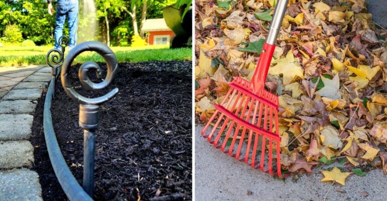 How To Make Your Texas Yard Safer For Trick-Or-Treaters