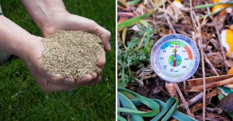 How Late Is Too Late To Seed Northern Ohio Lawns After October 15