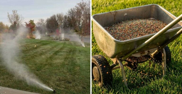 8 Ohio Lawn Tasks to Finish Before the First Freeze