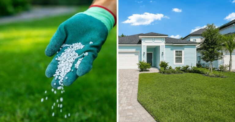 The Last Lawn Fertilizing Window In Florida Closes Sooner Than You Think