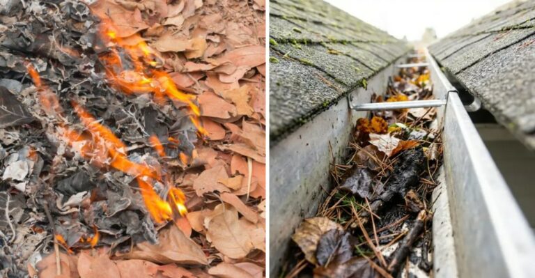 Why California Gardeners Should Prepare For A Leaf Avalanche Before The Next Windstorm
