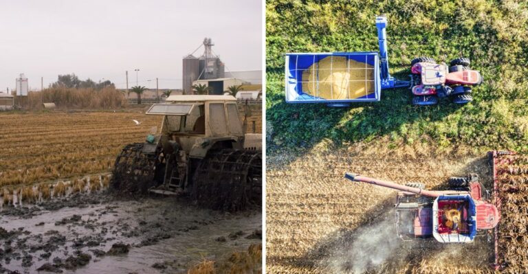 Why New York Soils Are Compacted Worse This Fall Than Any Recent Year
