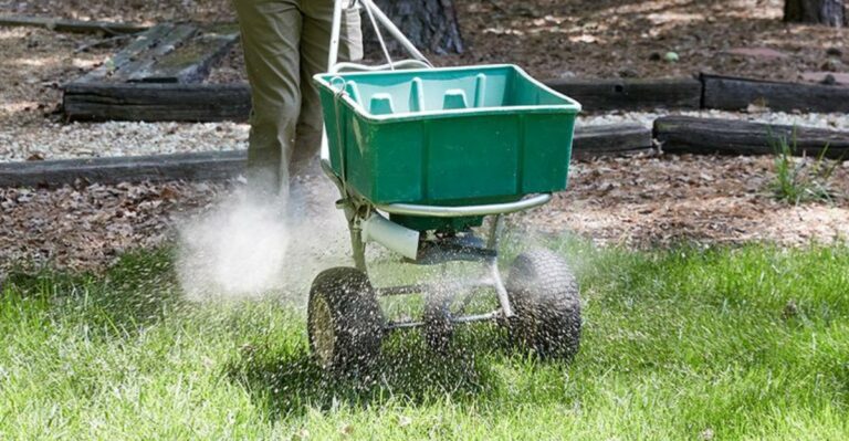 The Lime Treatment Virginia Fescue Lawns Need Before Ground Freezes