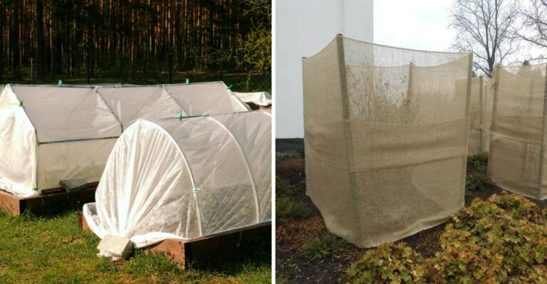 How To Protect Pennsylvania Plants From 45 Mph Wind Gusts