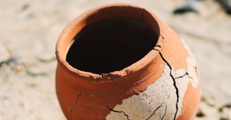 The Terracotta Pot Mistake Virginia Homeowners Make Every Fall That Cracks Them By Spring