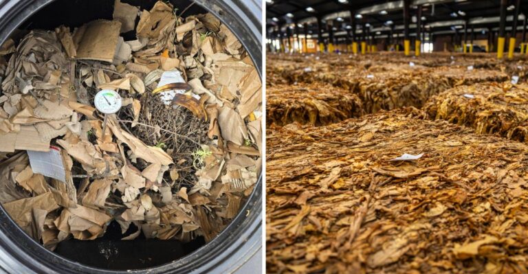 Before You Bag Those Leaves, Read This About Composting In Alabama