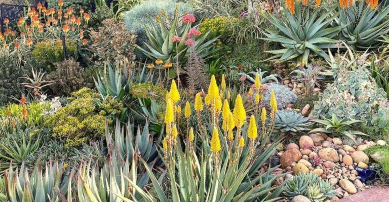8 Simple Ways North Carolina Gardeners Bring Color To Winter Gardens