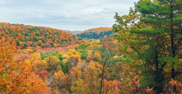 Ohio State Parks With The Most Dramatic Fall Color