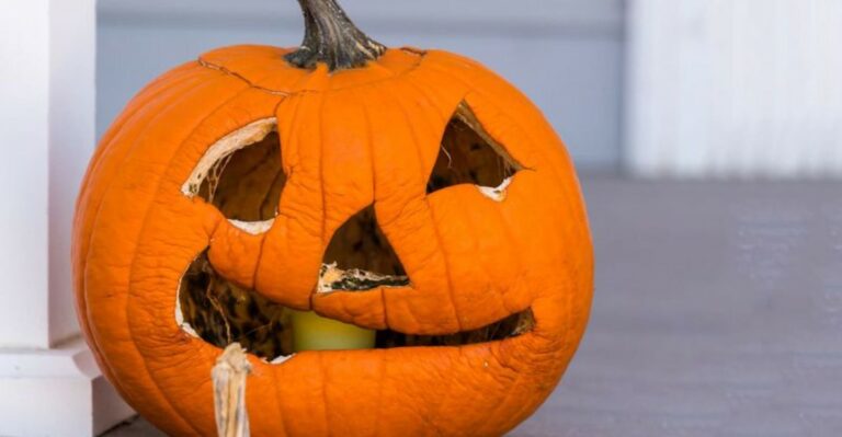 How To Keep Halloween Pumpkins From Rotting In The Florida Heat