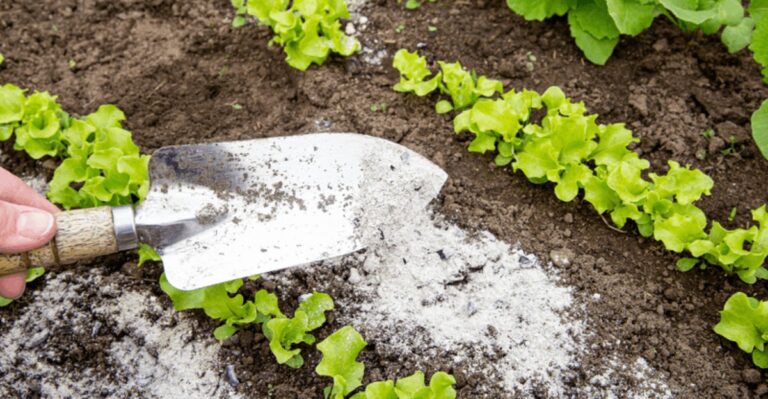 Fireplace Ash Can Help Your Missouri Garden, But Only Where The Soil Needs It