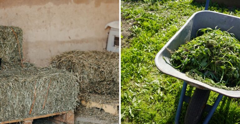 How Texas Gardeners Fill A Truck Bed With Free Mulch Before Winter Arrives