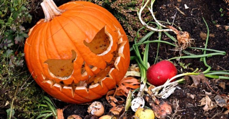 Your Halloween Pumpkin Can Feed Your Indiana Garden Instead Of Ending Up In The Trash