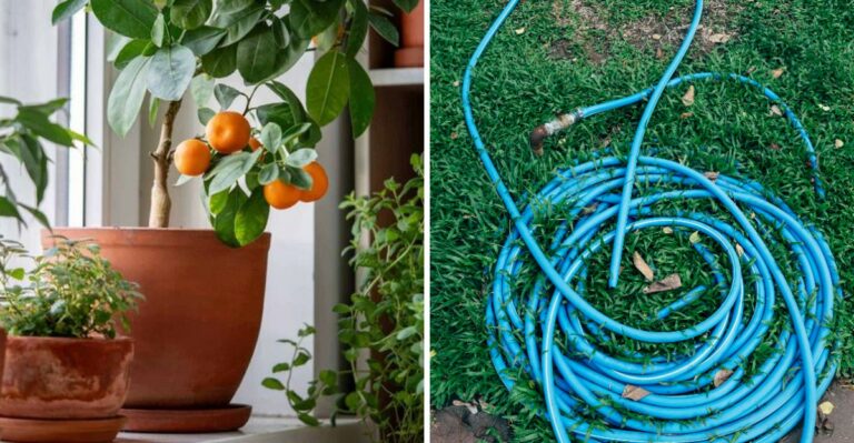 Pennsylvania Garden Tasks You Should Tackle Up Before Halloween