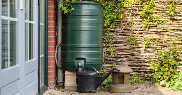 How To Winterize A Rain Barrel Before New York’s First Hard Freeze