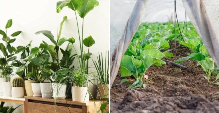 From 80 Degrees To Frost In One Week: How To Prepare Your Pennsylvania Garden