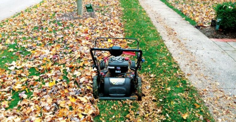 Indiana Homeowners Should Mow Fall Leaves Instead Of Raking Them