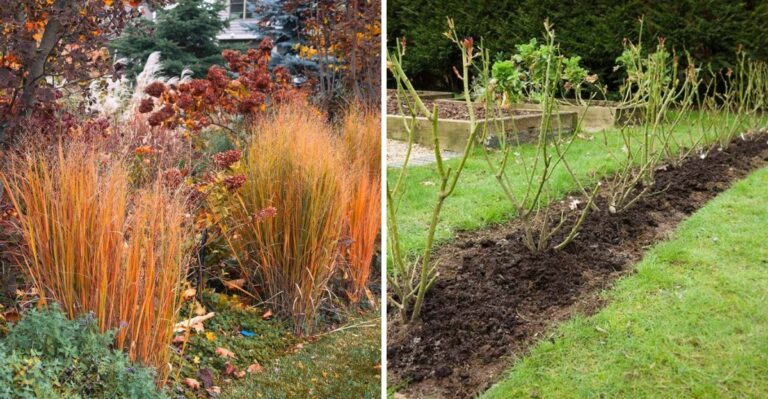 Put Down The Pruners For These 7 Michigan Plants This October