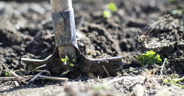 10 Signs An Ohio Yard’s Soil Is Compacted And How To Fix It
