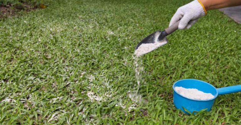 Why Georgia Gardeners Should Test Their Soil Before Adding Lime This Fall